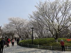 -范蠡湖公园