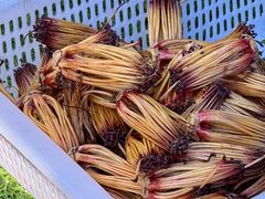 -南坛综合农贸市场