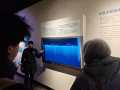 -白鹤梁水下博物馆