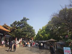 -翠湖公园