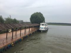 -微山湖红荷湿地景区
