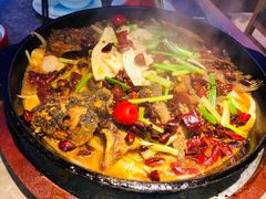 -老板恋上鱼(恒隆广场店)