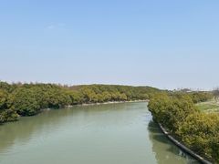 -广富林郊野公园