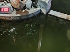 -碧水湾温泉