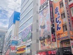 -秋叶原电器街