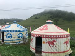 -关山草原