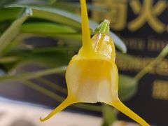 -北京植物园-展览温室