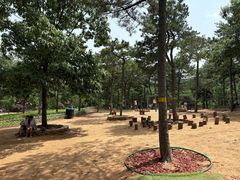 -北京西山国家森林公园