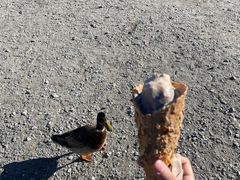 -Patagonia Chocolates(皇后镇店)