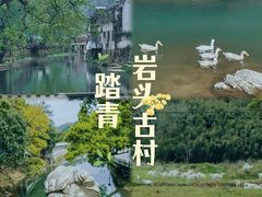 -尚田草莓姑娘白草莓采摘基地