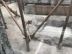 -武汉动物园