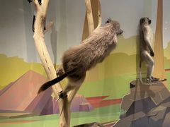 -陕西自然博物馆