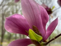 -永定河休闲森林公园