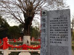 -董永七仙女文化园