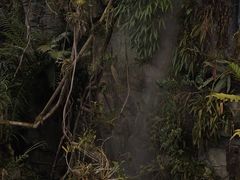 -昆明植物园