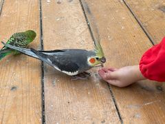 -南宫五洲植物乐园