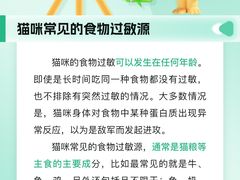 -瑞派申生动物医院·24H夜诊·国际动物医疗中心·骨外科(吴中路店)