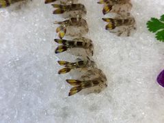 -富来美食(成发大厦店)