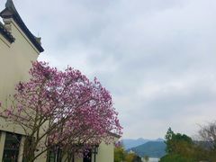 -宁波柏悦酒店·钱湖渔港