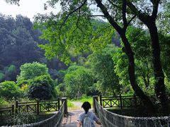 -素山寺森林公园