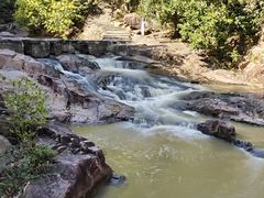 -广州白江湖森林公园