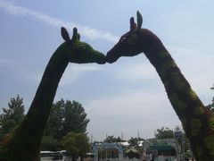 -西安秦岭野生动物园