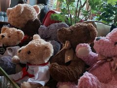 -咖法森林·咖啡  酒吧(天河店)