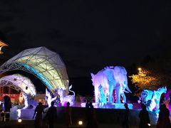 -清迈夜间动物园
