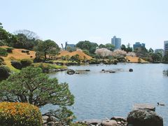 -水前寺成趣园