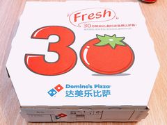 -达美乐比萨(墨玉南路店)