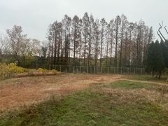 -上海野生动物园老虎餐厅