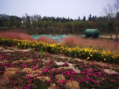 -郑东新区龙湖公共艺术中心