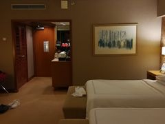 -新加坡瑞士史丹福酒店