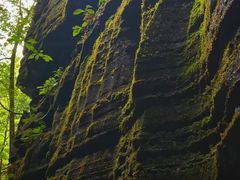 -梭布垭石林景区