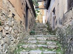 -杨家堂村