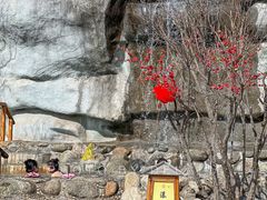 -华山御温泉度假村