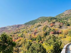 -北京西山国家森林公园