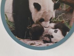 -宁波野生动物园