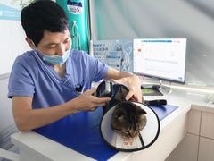 -博特宠物医院24h犬猫全科.骨科·异宠