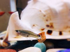 -七宝蔬菜农副产品综合交易市场-停车场