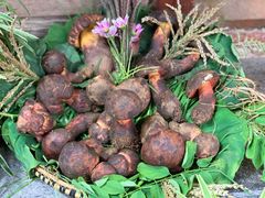 -大理董·董家小厨野生菌火锅(古城旗舰店)