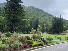 -深圳仙湖植物园