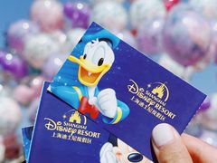 -上海迪士尼度假区