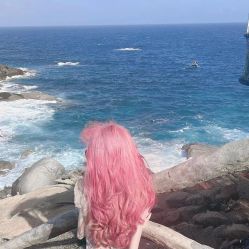 -YESIDO椰岛造型