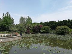 -嘉定紫藤园