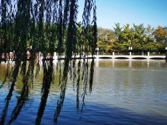 -大连植物园