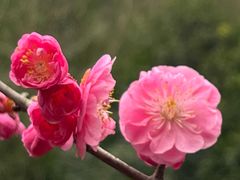 -成都银泰中心in99