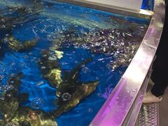 -盒马鲜生(莱蒙都会店)