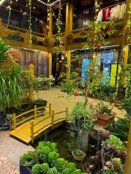 -小红帽摄影(丽江店)