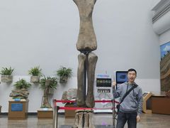 -自贡恐龙博物馆